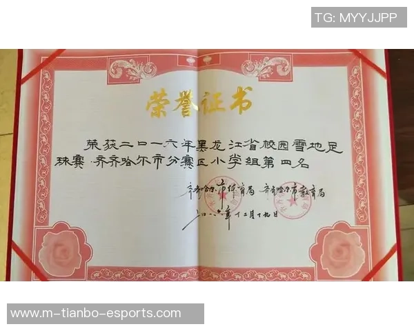 江苏足球队球员的成长历程与未来发展展望分析