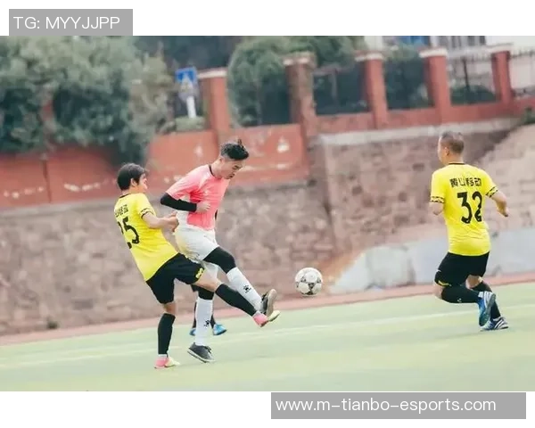 爱情公寓足球:在绿茵场上演绎青春与友情的热血故事